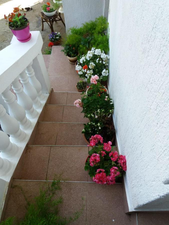 Apartman Sunce Raslina Exterior photo